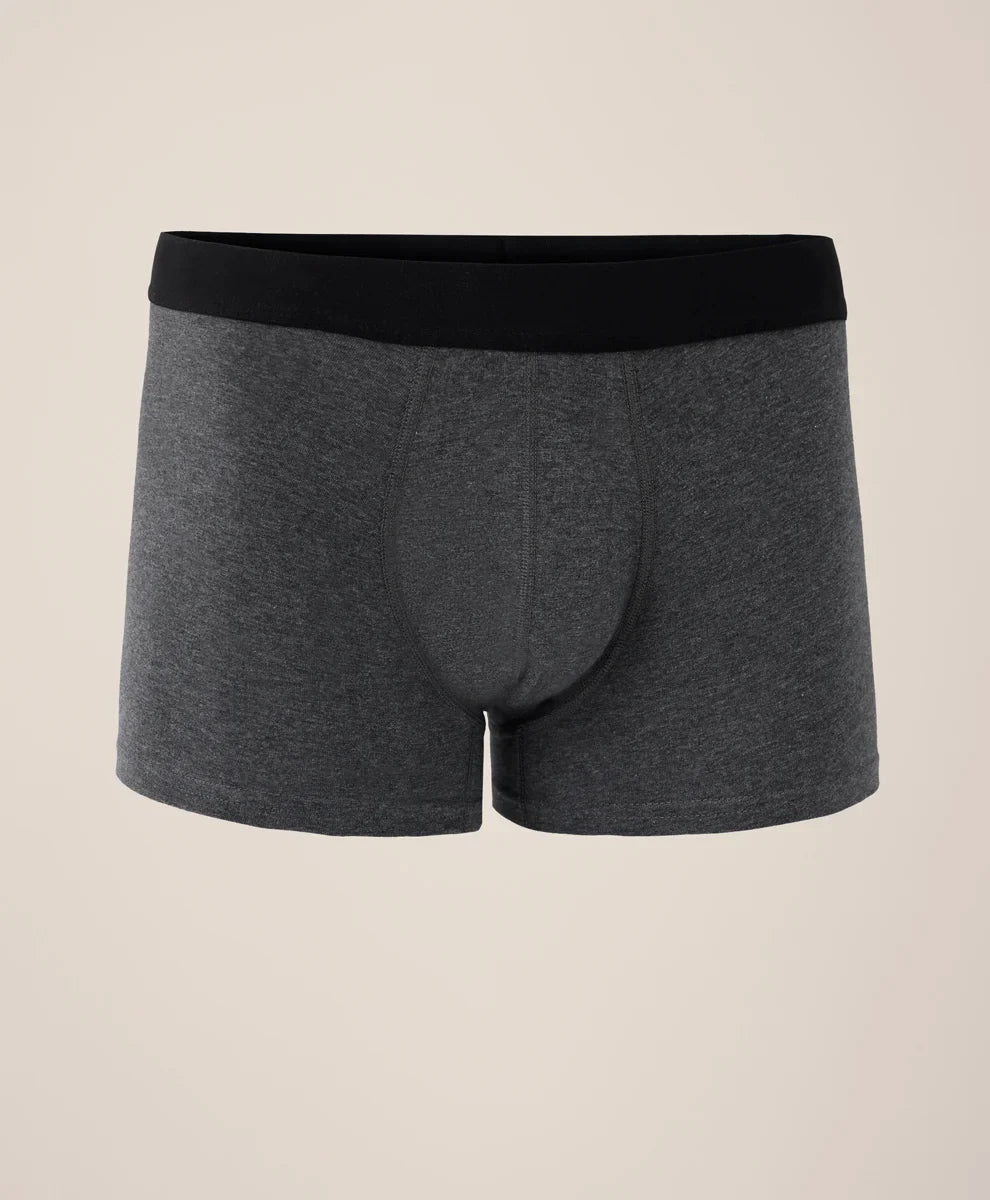 everyday trunk